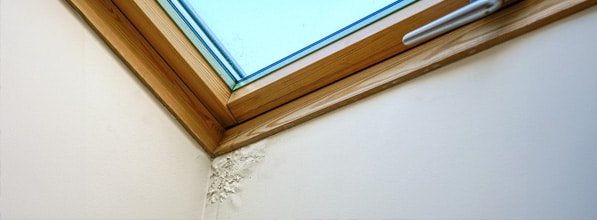 dachfenster in dortmund ist undicht