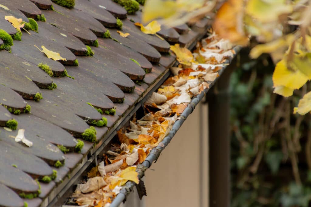 eine dreckige dachrinne an einem klassischen dach in dortmund